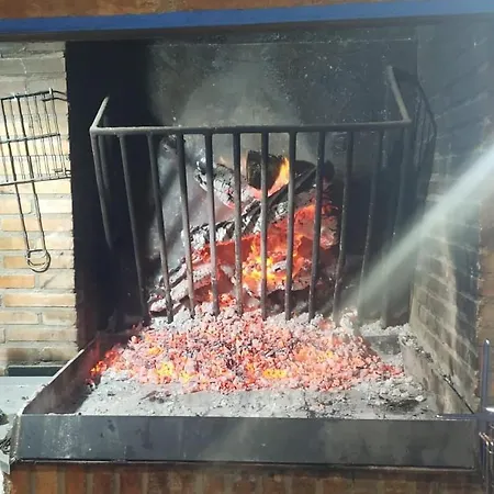 Segontia